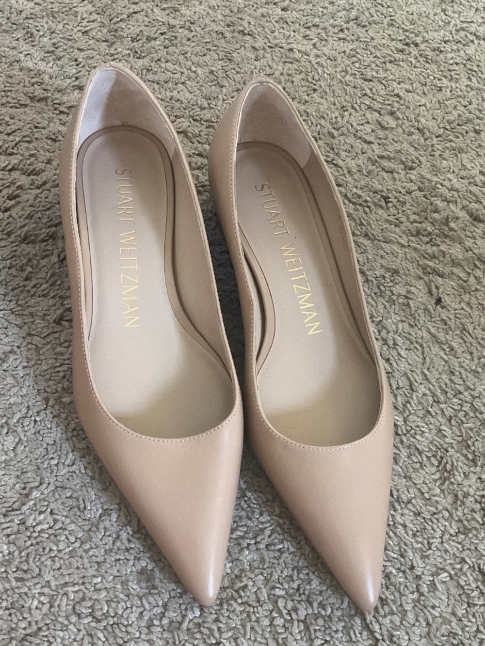 Stuart Weitzman Emilia Pointed-Toe Leather Flats